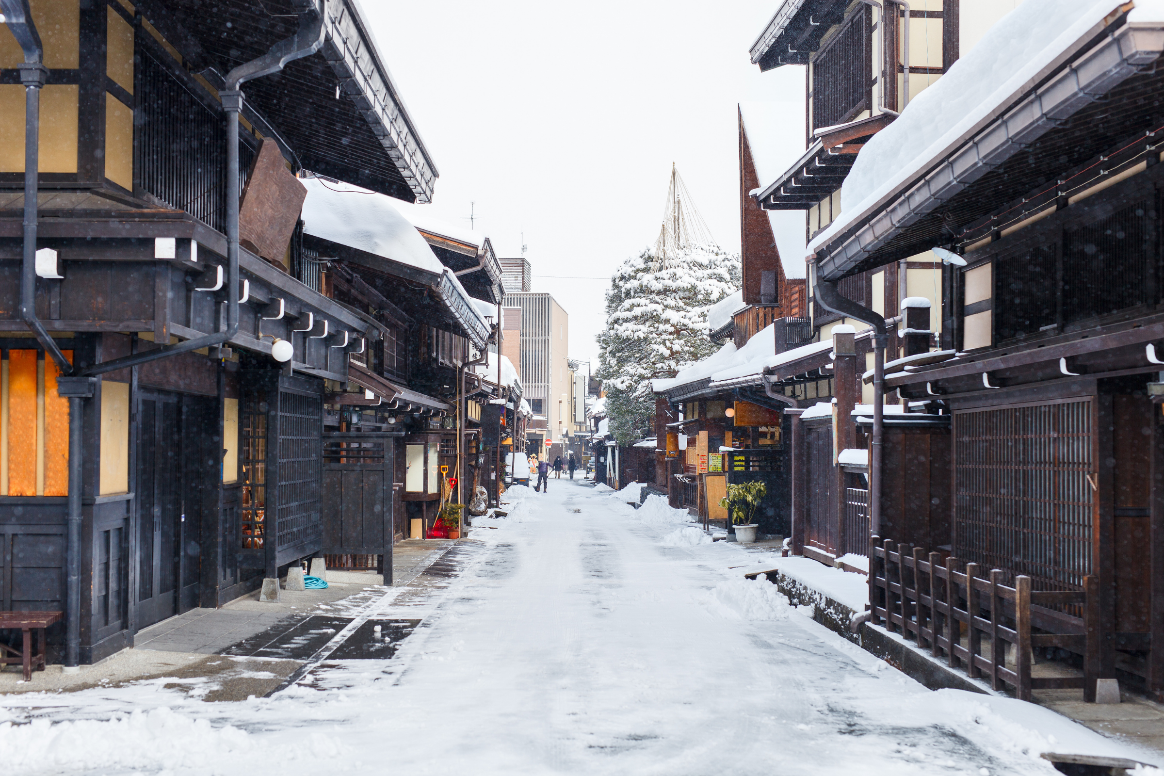 takayama, gifu (3).webp
